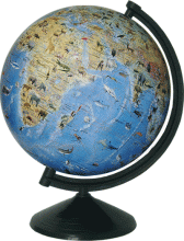 Глобус физический с животными лакированный без подсветки, диаметр 260мм