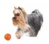 Liker - мячик для игры с собакой